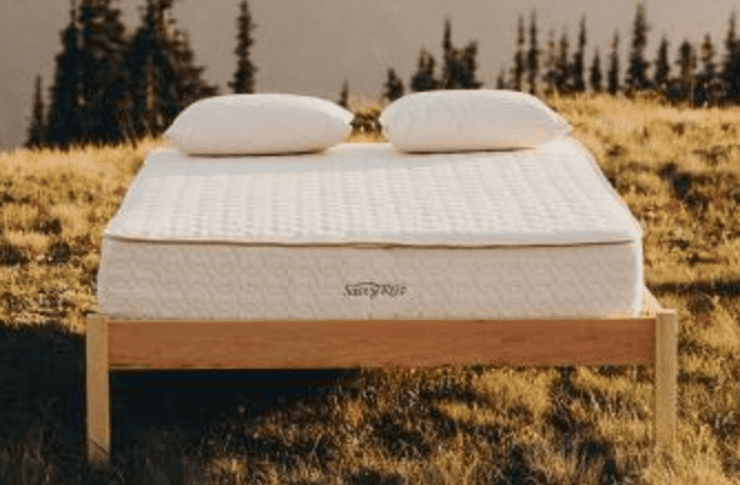 Savvy Rest mattress